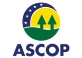 logo ASCOP